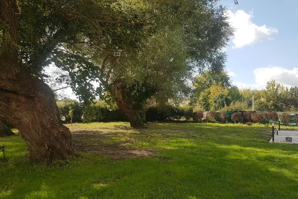 Villa Demeure En Pierre Avec Piscine Privee à Etauliers Extérieur photo